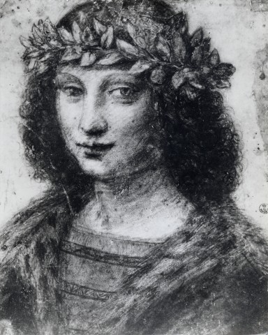 Anonimo — Leonardo da Vinci - seguace - sec. XVI - Ritratto di giovane uomo — insieme